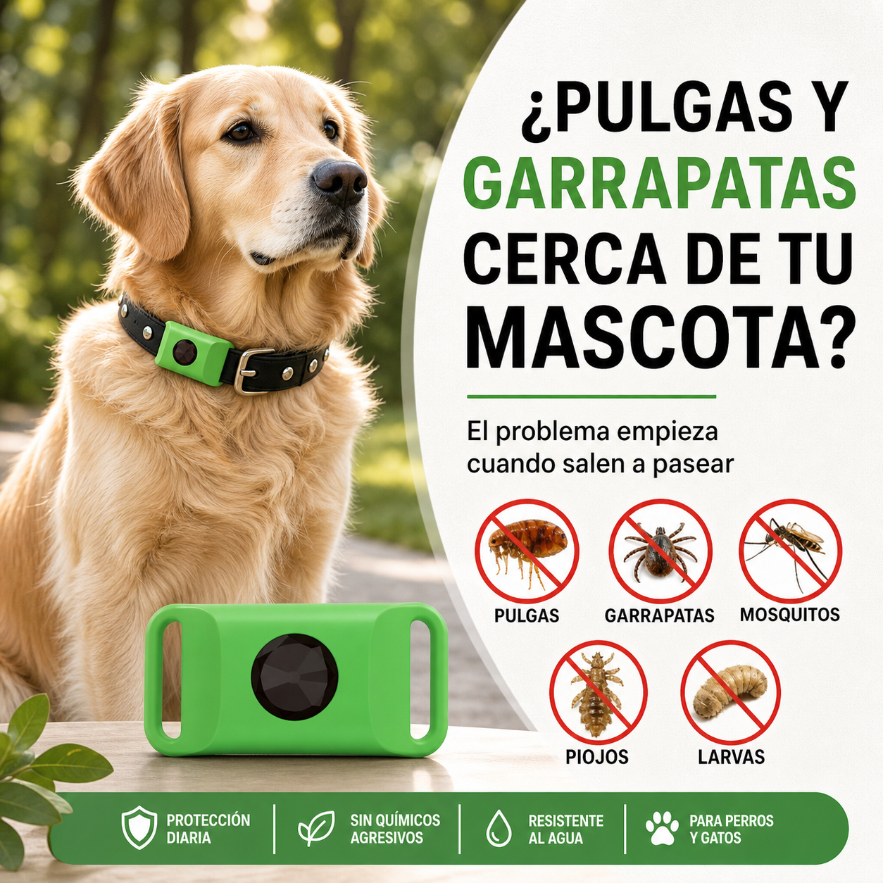 Collar Aromático para Mascotas | Paseos Más Cómodos en Verano