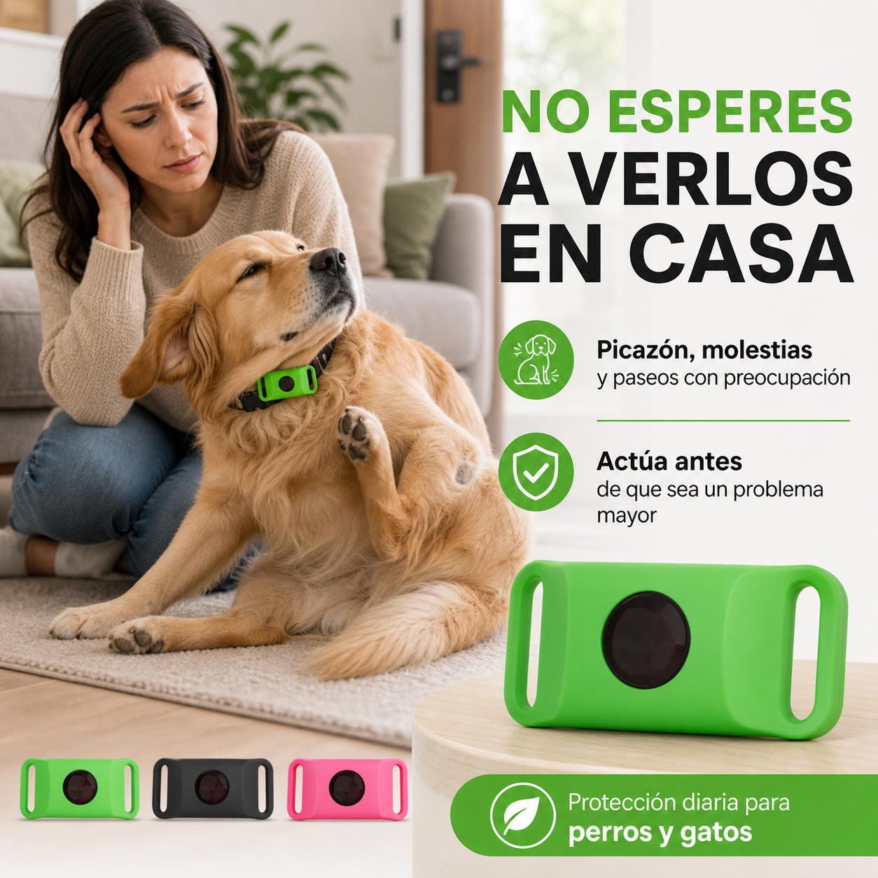 Collar Aromático para Mascotas | Paseos Más Cómodos en Verano