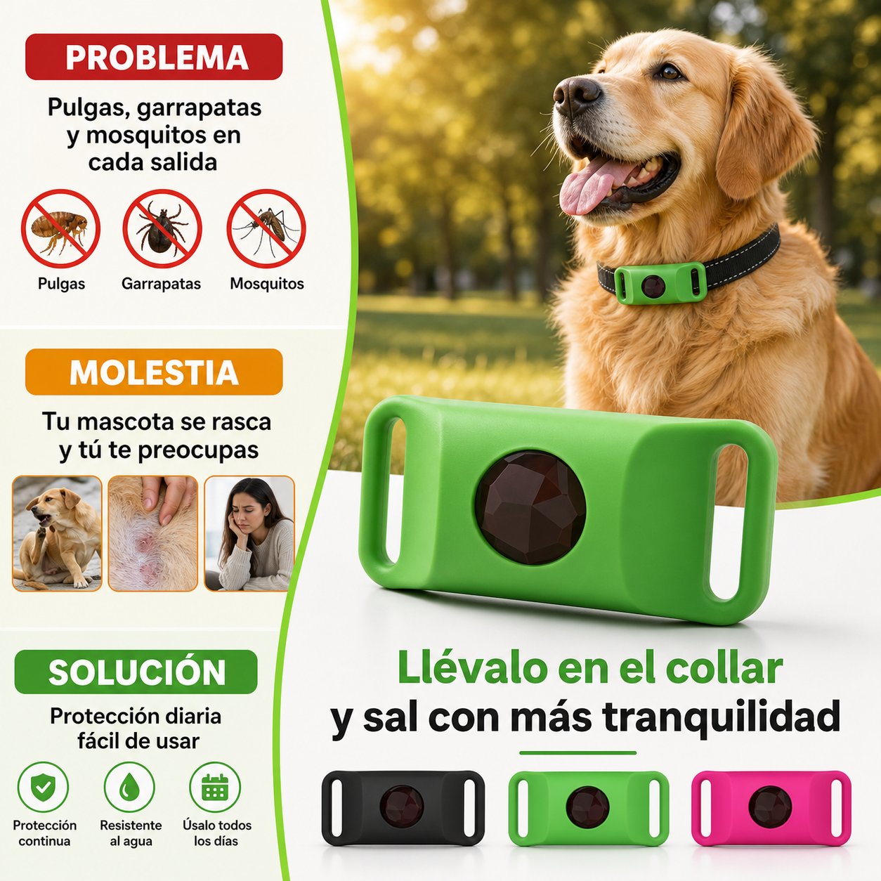 Collar Aromático para Mascotas | Paseos Más Cómodos en Verano